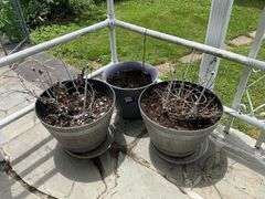 Three planter pots