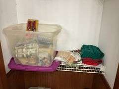 Contents of bathroom: iron, ironing board, rolling stand, waste basket, craft supplies, lightbubls