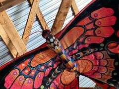 Butterfly kite