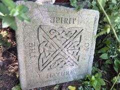 Outdoor plant container with plants and step stone