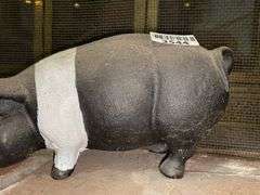 Cast iron hog