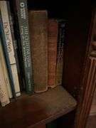Book contents of three shelves: history, short stories, National Geographics, misc