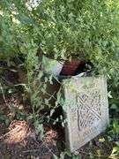 Outdoor plant container with plants and step stone