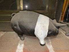 Cast iron hog
