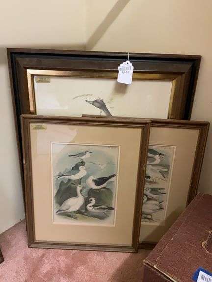 Two framed shorebirds prints, and Charles Murphy ducks print, framed