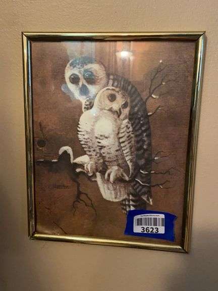 Wall hangings: framed owl and parrot prints, framed leaf