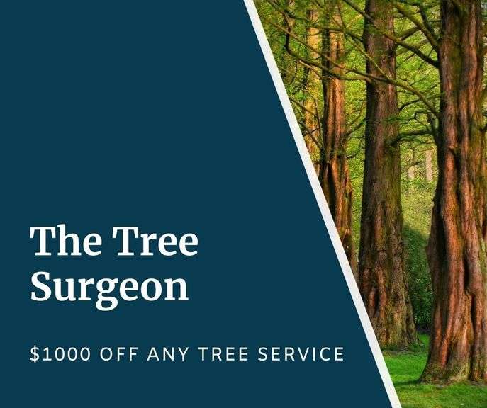 The Tree Surgeon - Chambersburg - $1000 Off Any Tree Service; Services include Tree Removal/Replacement, Proper Pruning, Stump Removal, Tree Maintenance Programs, Tree Health, Cabling and Bracing