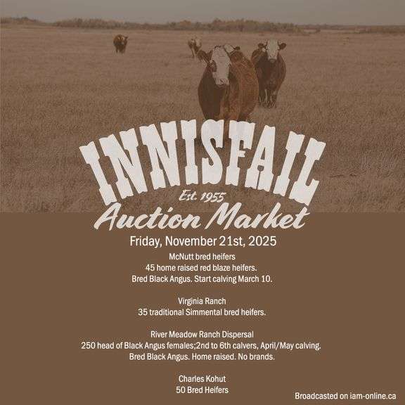 IAM Bred Cow & Heifer Sale