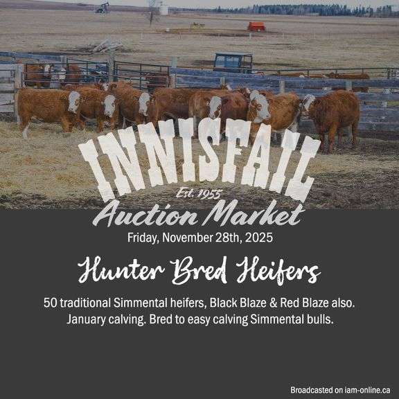 IAM Bred Cow & Heifer Sale