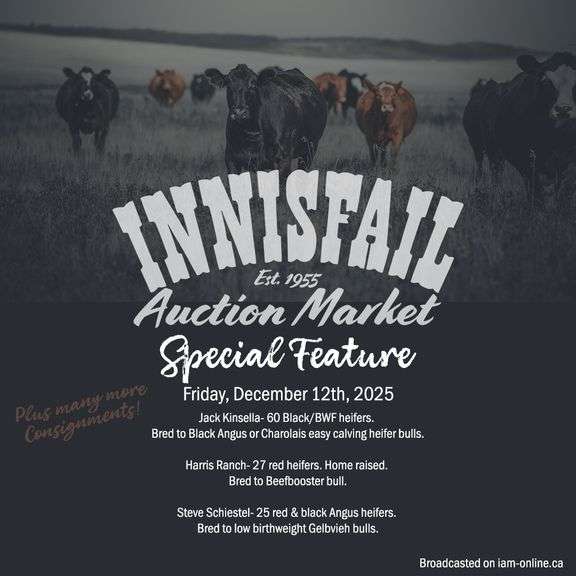 IAM Bred Cow & Heifer Sale