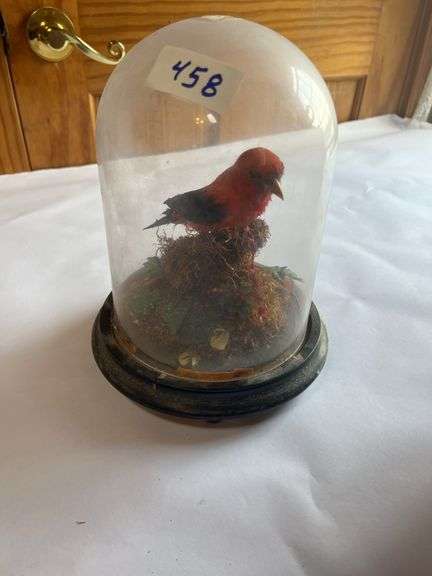 COLLECTIBLE