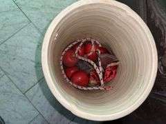 STONEWARE