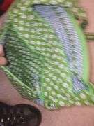 hand bag