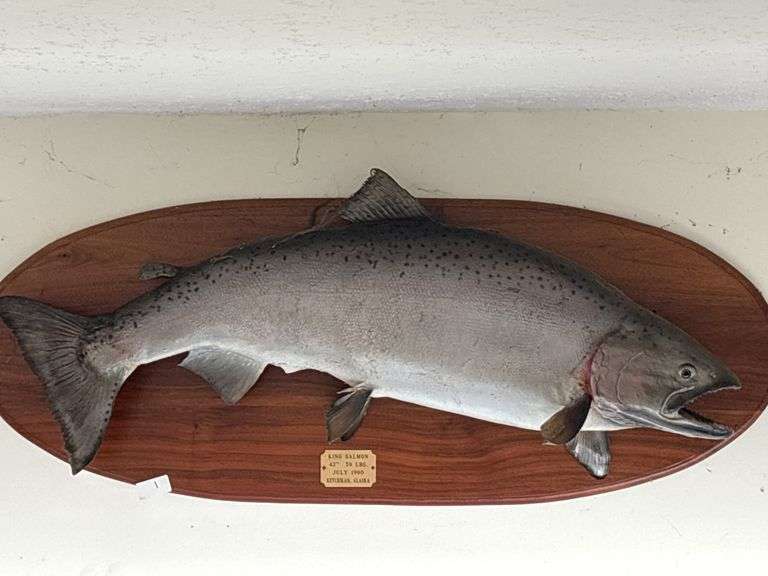 Fish Mount
