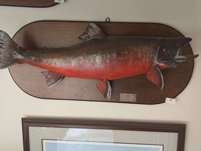 Fish Mount