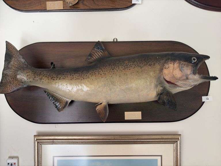 Fish Mount