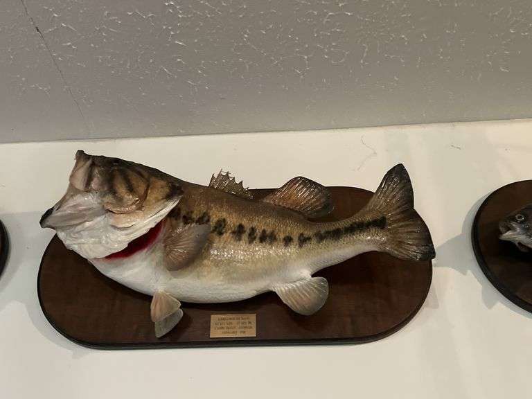 (AUCTION ID# 101) 6/25 MUST SEE HIGH END COLLECTIBLES - QUALITY HOUSEHOLD ITEMS - RECORD SIZE FISH TAXIDERMY – GRANDFATHERS CLOCKS – CUCKOO CLOCKS – LARGE SCALE TRAIN SETS WITH ENGINES CARS AND TRACKS – TERRY REDLIN SIGNED AND NUMBERED PRINTS – DUCKS UNLIMITED SIGNED AND NUMBERED PRINTS – HAND CARVED DUCK DECOYS SIGNED – BEDROOM SUITE FURNITURE – LONGABERGER BASKETS – ULED 65 INCH TV – ANTIQUE FURNITURE – SILVER PLATED FLATWARE – HIGH QUALITY FISHING EQUIPMENT – MULTIPLE BAIT CASTS REELS – COLLECTIBLE NATIVE AMERICAN PEWTER STATUES – GOLF CLUBS – JOHN DEERE SNOW BLOWER – CHRISTMAS DÉCOR – CURIO CABINETS - DINING ROOM TABLE AND CHAIRS – THREE STORY DOLL HOUSE FULLY FURNISHED – TOOLS – MANY OHIO STATE BUCKEYE COLLECTIBLES – MORE FOR SALE