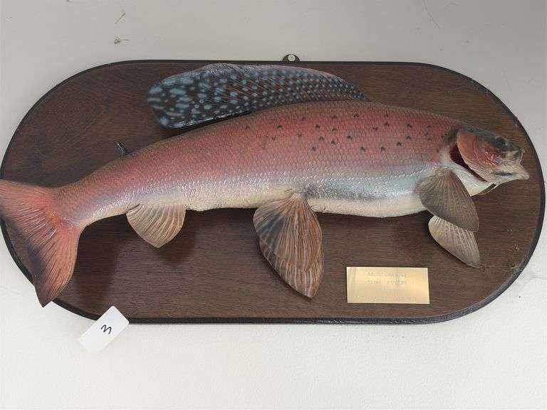 Fish Mount