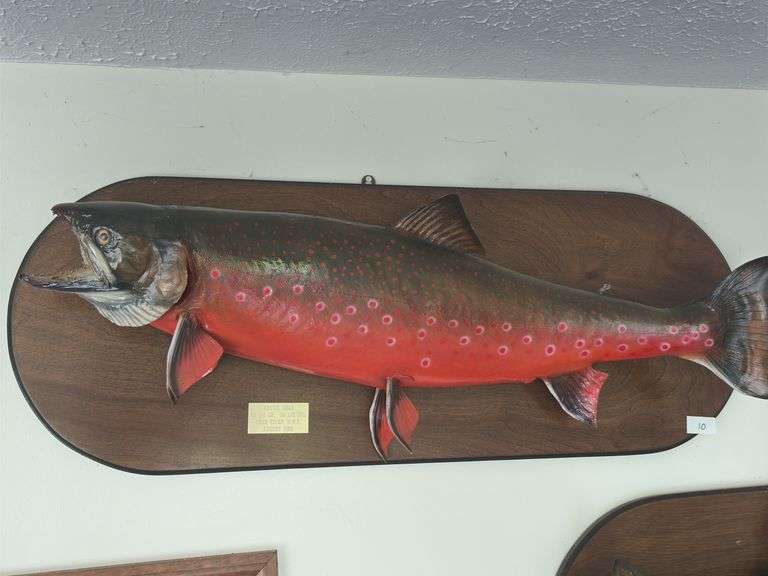 Fish Mount
