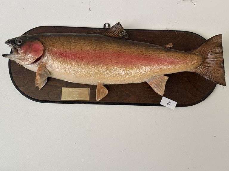 Fish Mount