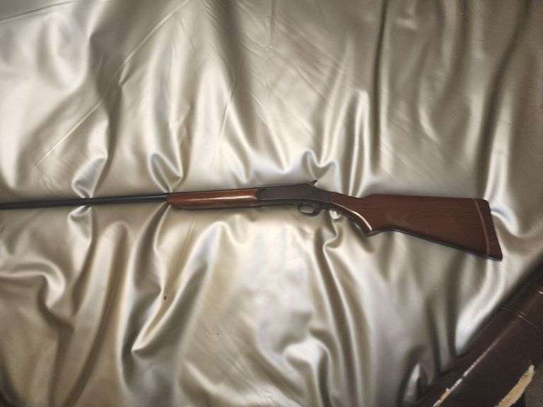 Gun