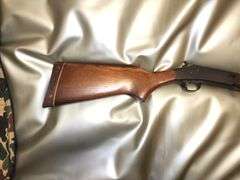 Gun