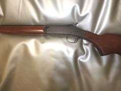 Gun