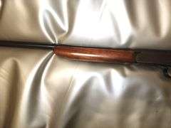 Gun