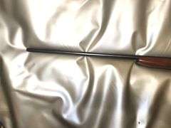 Gun