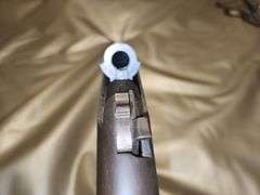 Gun