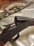 Gun