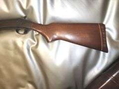 Gun