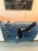 Tapestry