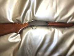 Gun