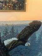 Tapestry