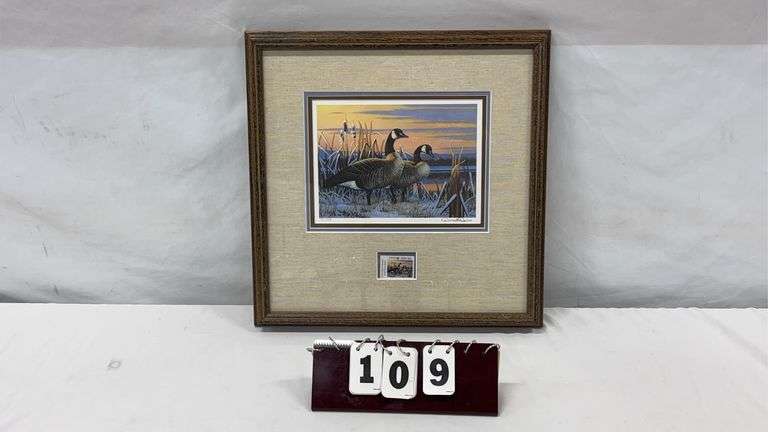 Darrell Davis Signed / Numbered / Framed Canadian Goose Wildlife Print