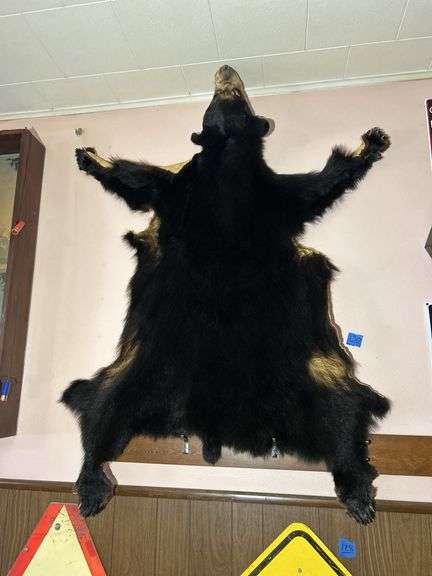 Bear Hide
