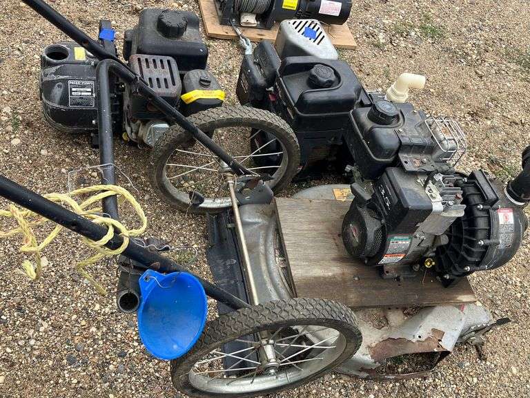 Lot of Pacer Pumps