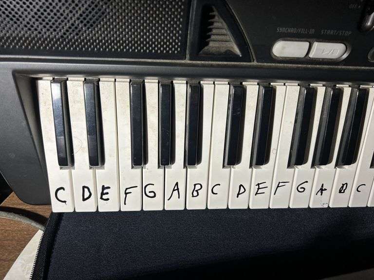 Casio Keyboard & Other Instruments