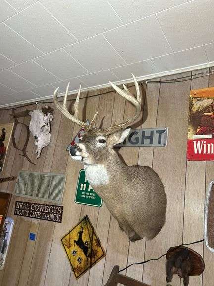 Deer Mount
