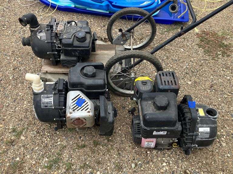 Lot of Pacer Pumps