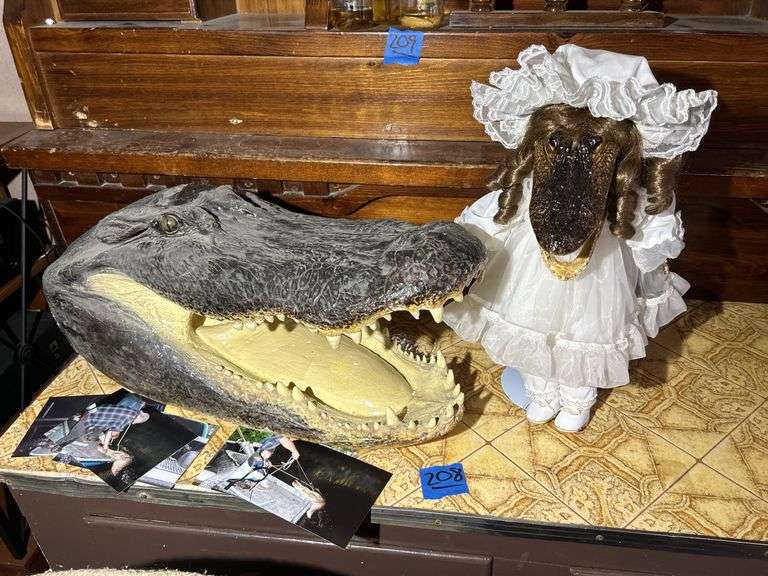 Alligator Head & a Dolligator