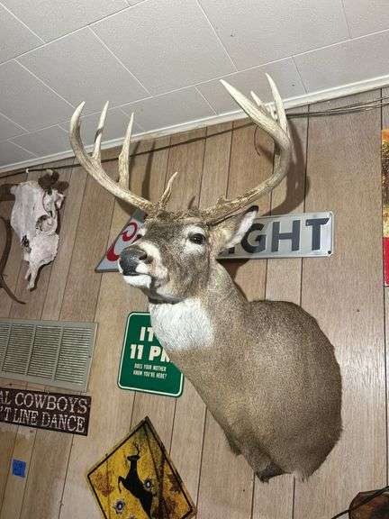 Deer Mount