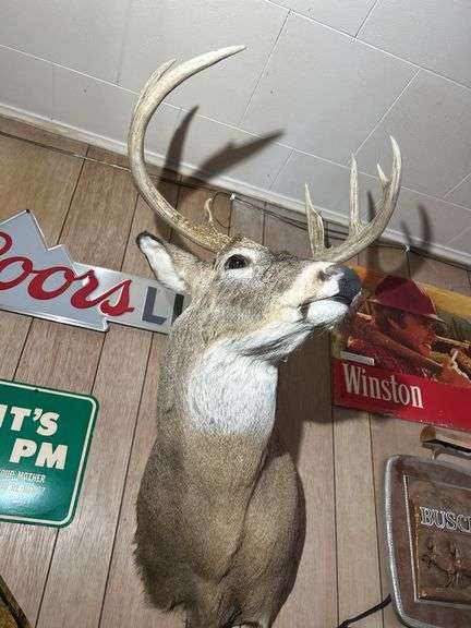 Deer Mount