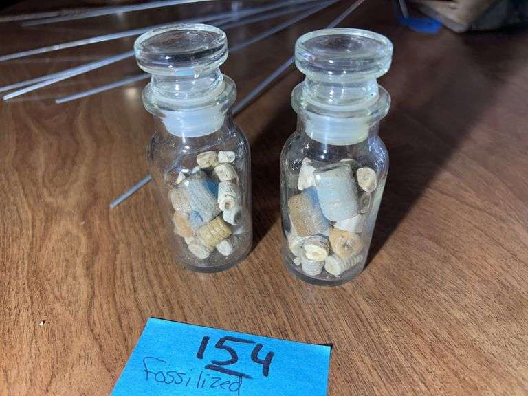 Fossilized Crinoid Stems