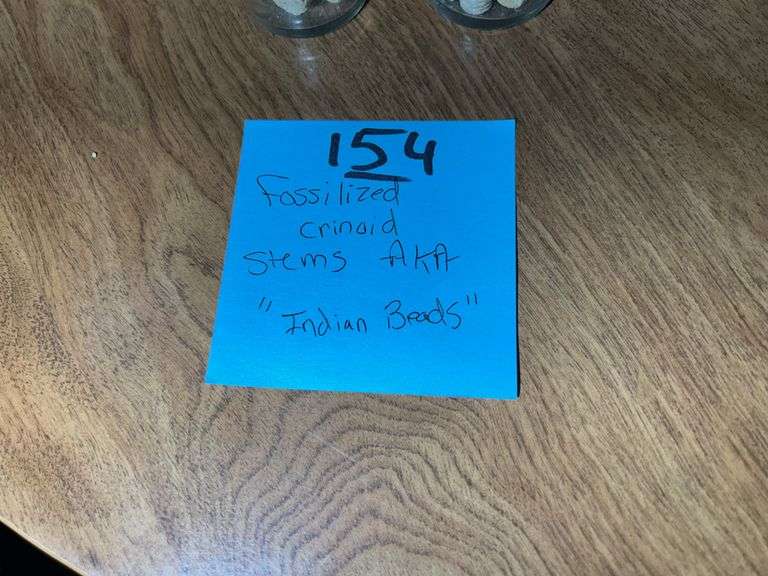 Fossilized Crinoid Stems