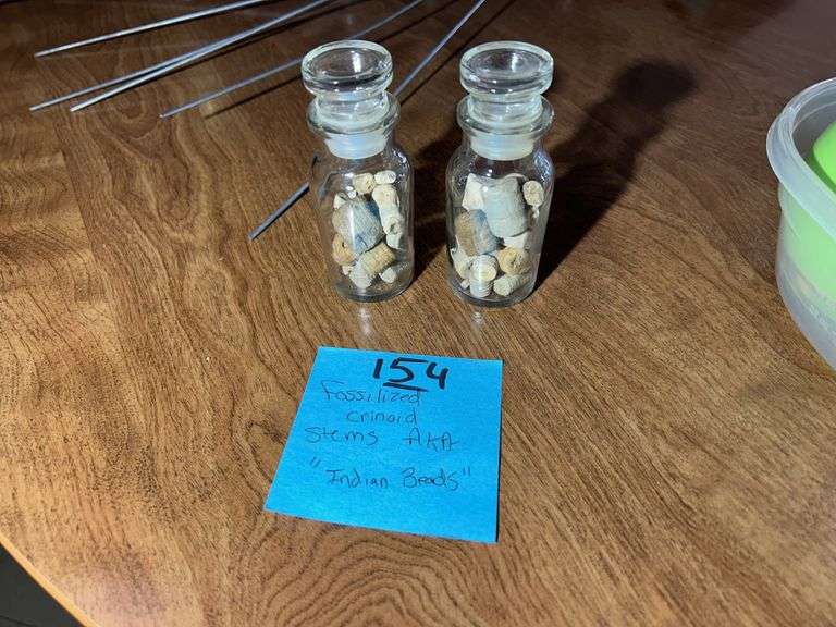 Fossilized Crinoid Stems