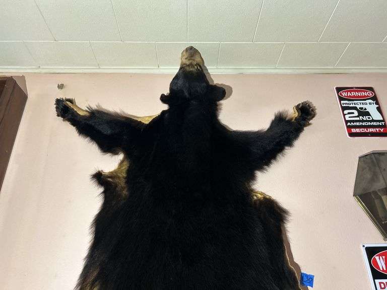 Bear Hide