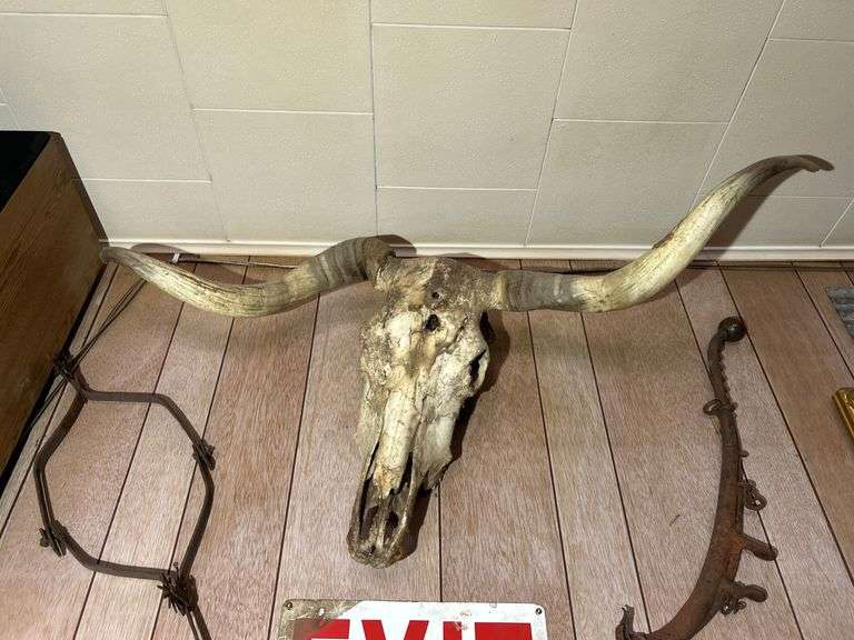 Cattle Skull, Single-Hame, Anti-Fence Device, Exit Sign