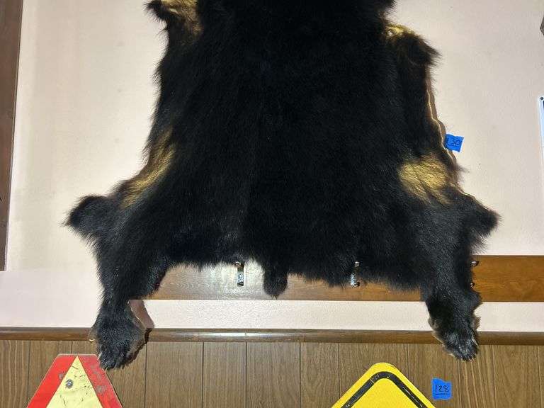 Bear Hide